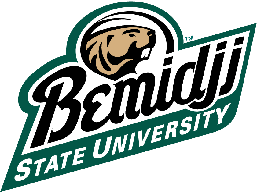 Bemidji State Beavers 2004-Pres Alternate Logo iron on transfers for fabric